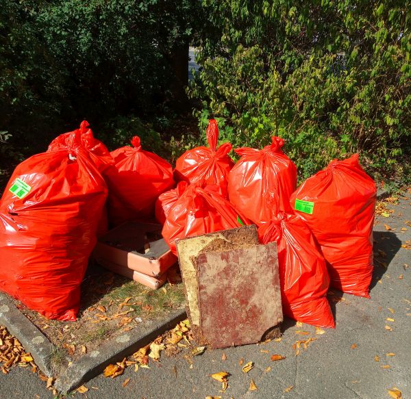 Umweltfreundesammeln am World Cleanup Day