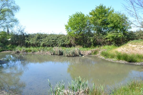 Die Rodau am alten Festplatz