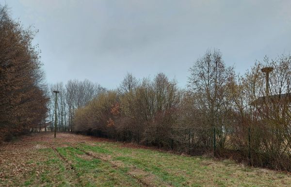 Zweites Storchennest an der Kläranlage Ober-Roden