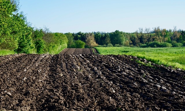  Agroforstwirtschaft