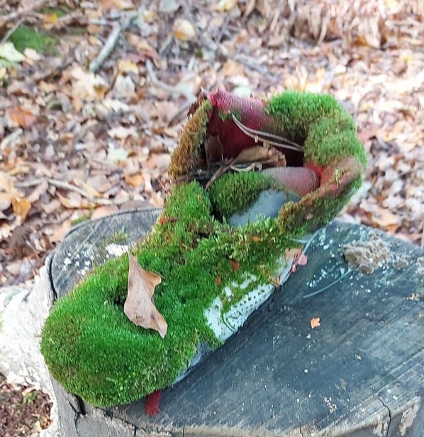 Nett anzusehen. Wohl ein Deigner Schuh