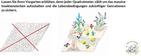 Leblose Schottergärten blitzschnell in -blühende Oasen- verwandeln.