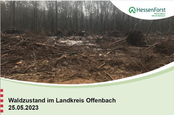 Waldzustandsbericht Kreis Offenbach 2023